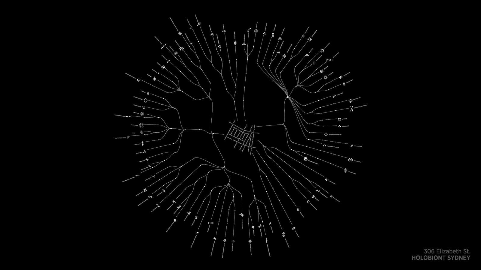 Holobiont Urbanism: radial tree of the microbes found in a Sydney beehive, 306 Elizabeth St.